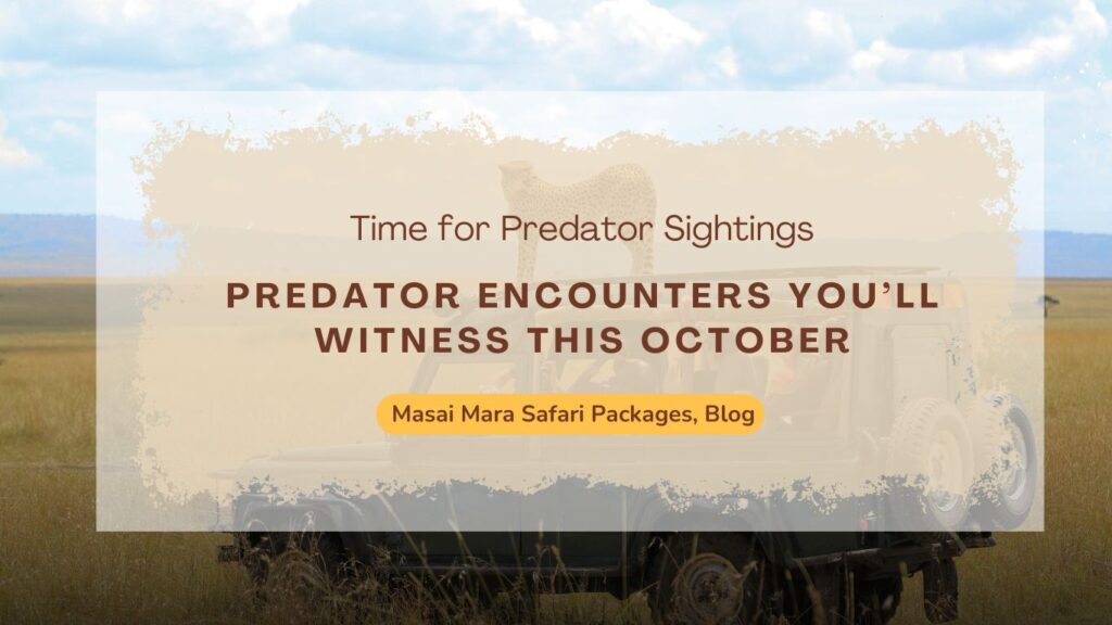 predator-encounters-you’ll-witness-on-masai-mara-safari-packages-this-october