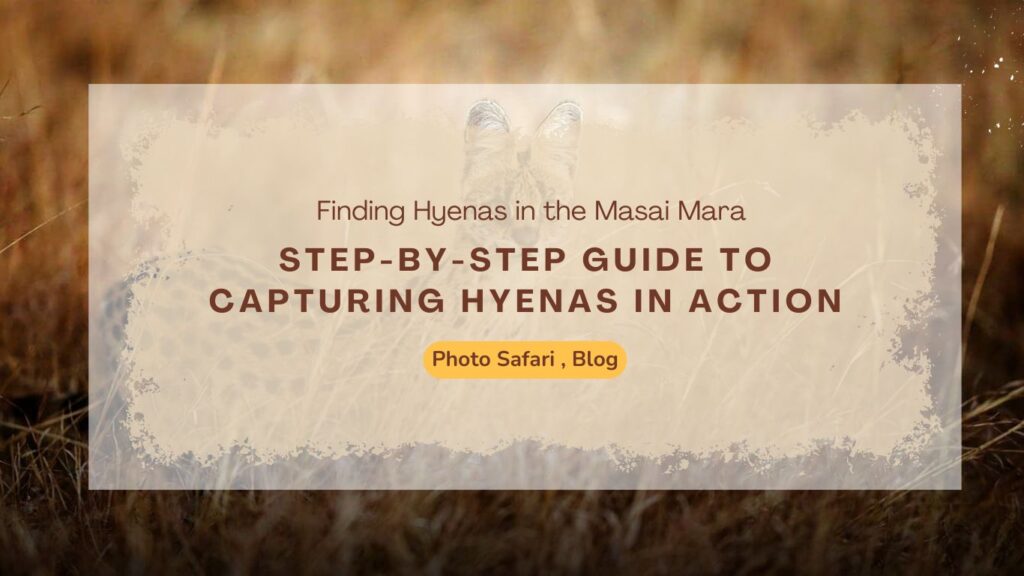 step-by-step-guide-to-hyena-photography-on-masai-mara-photography-tours
