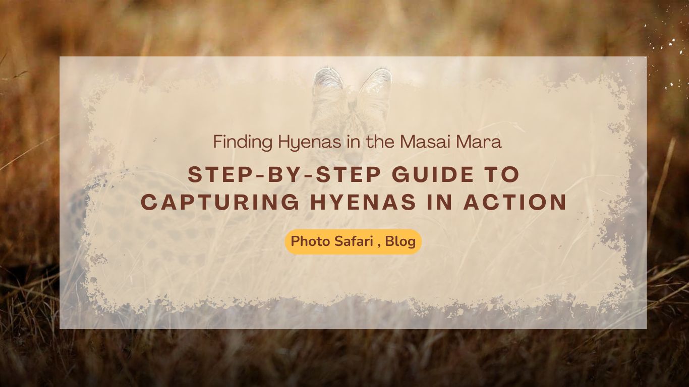step-by-step-guide-to-hyena-photography-on-masai-mara-photography-tours