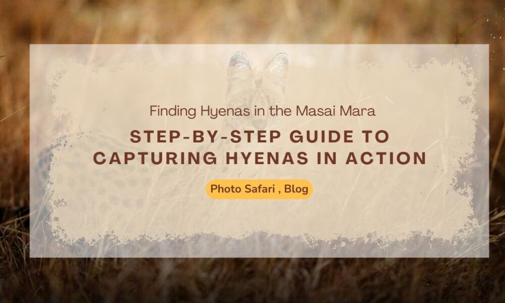 step-by-step-guide-to-hyena-photography-on-masai-mara-photography-tours
