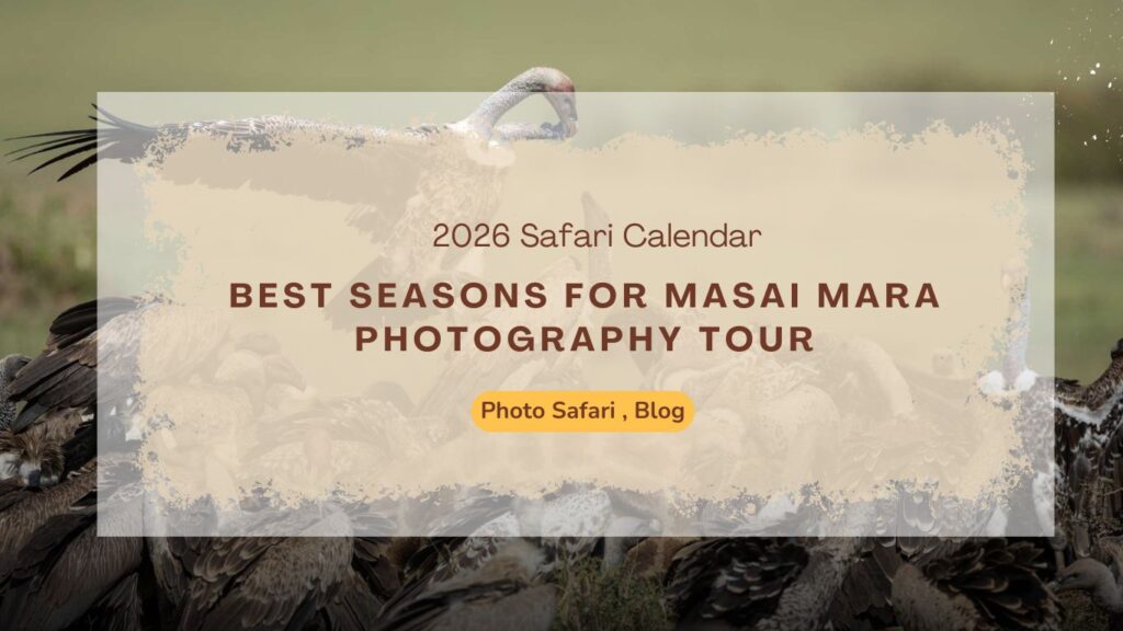 2026-safari-calendar-best-seasons-for-masai-mara-photography-tour