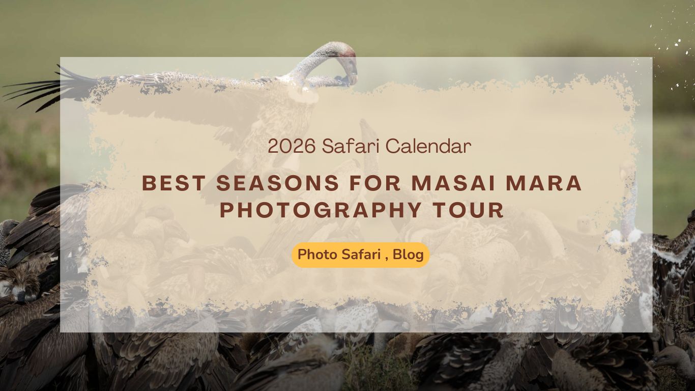 2026-safari-calendar-best-seasons-for-masai-mara-photography-tour