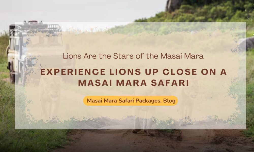 experience-wild-lions-up-close-on-a-masai-mara-safari