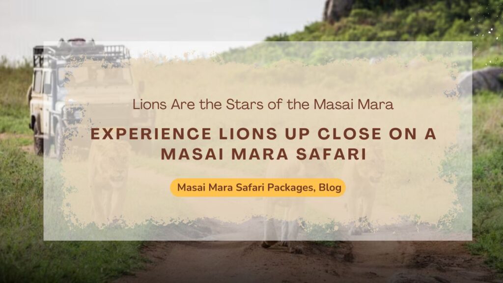 experience-wild-lions-up-close-on-a-masai-mara-safari