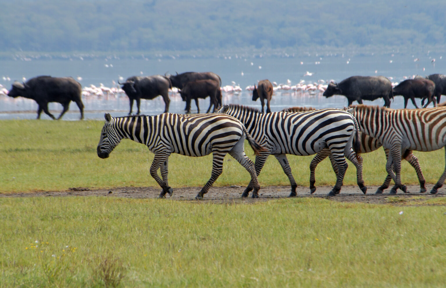 masai mara packages