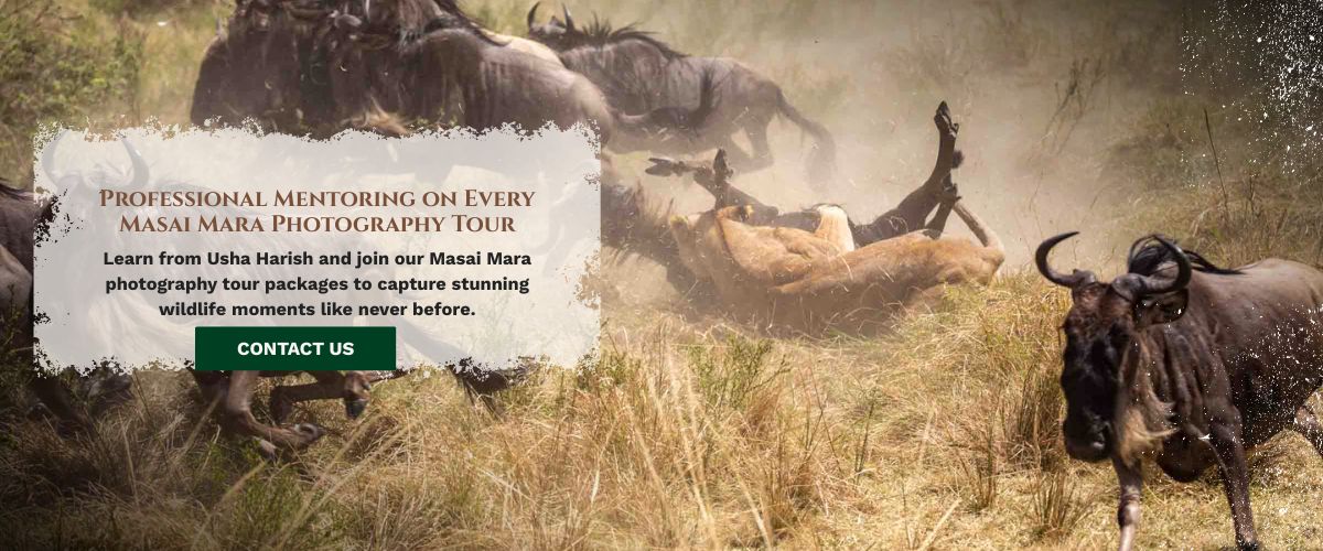 Masai Mara photography tours