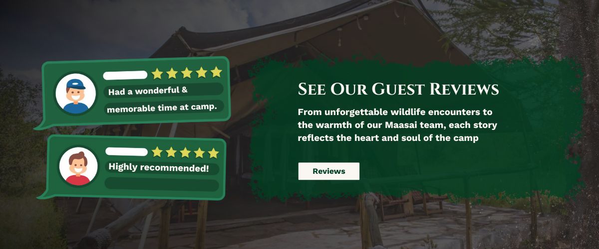 safari resort in talek