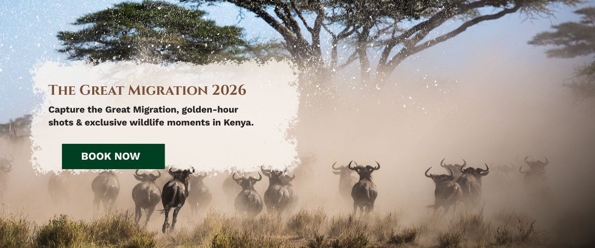 Masai Mara Photography Tour