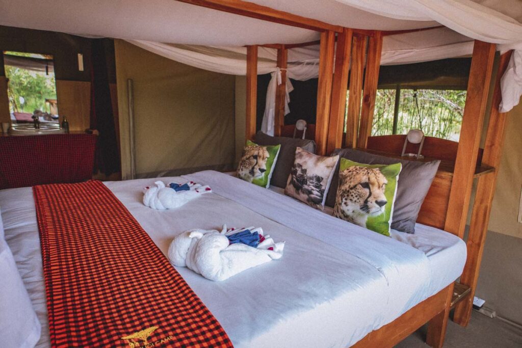 safari resort in talek