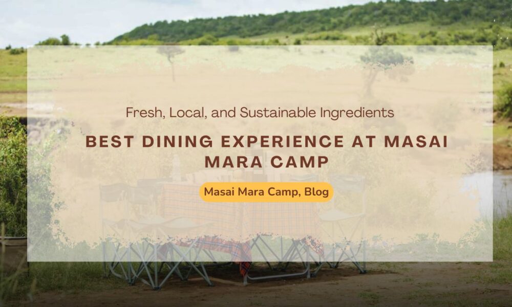 best-dining-experience-at-masai-mara-camp