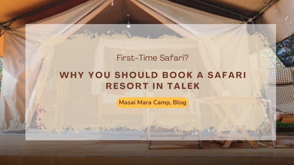 first-time-safari-here’s-why-you-should-book-a-safari-resort-in-talek