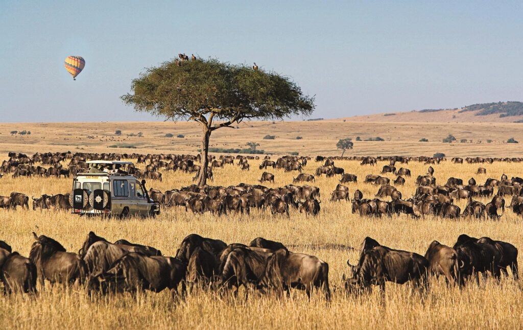 maasai mara safari packages