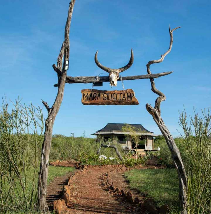 Safari Resort in Talek