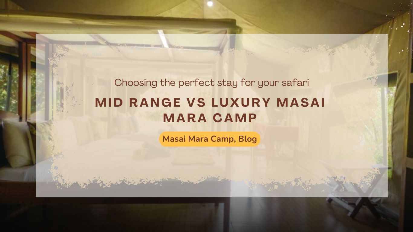 masai-mara-camps-how-to-decide-whats-right-for-you