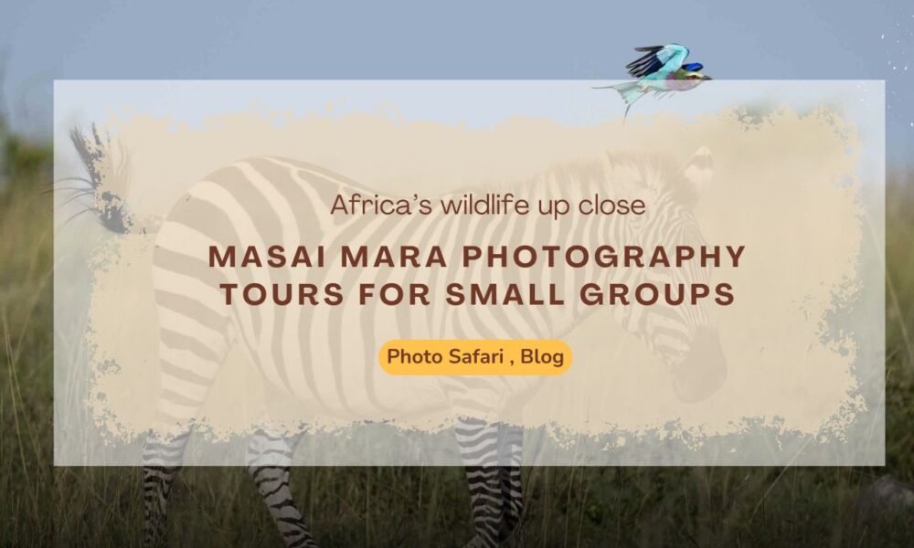 masai-mara-photography-tours-for-small-groups