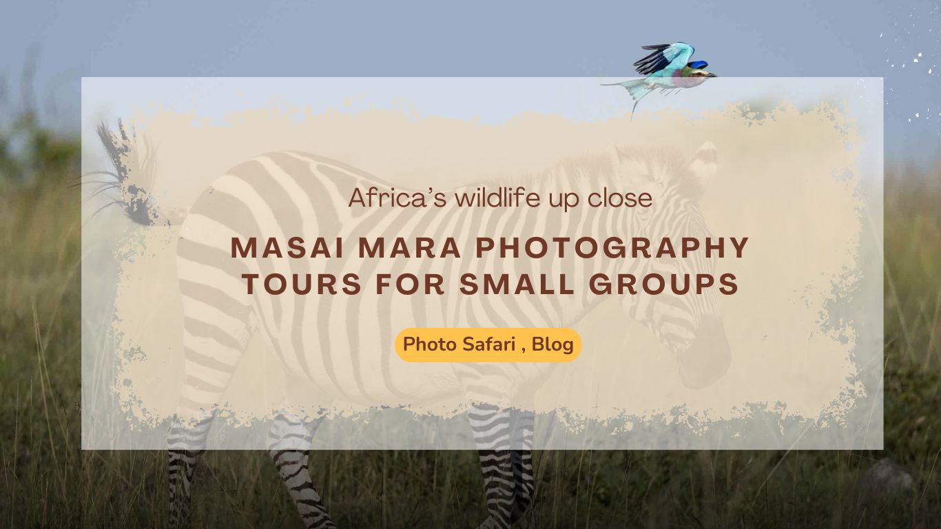 masai-mara-photography-tours-for-small-groups
