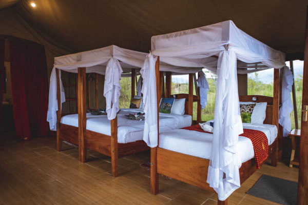 maasai mara safari packages