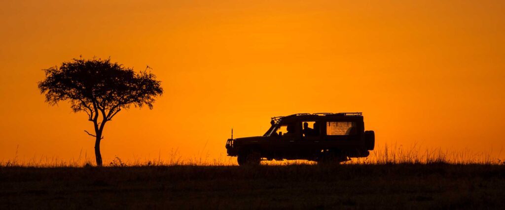 masai mara safari