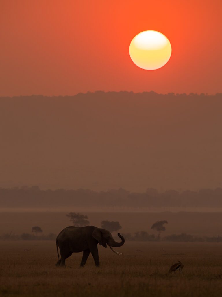 Masai Mara Tour Package