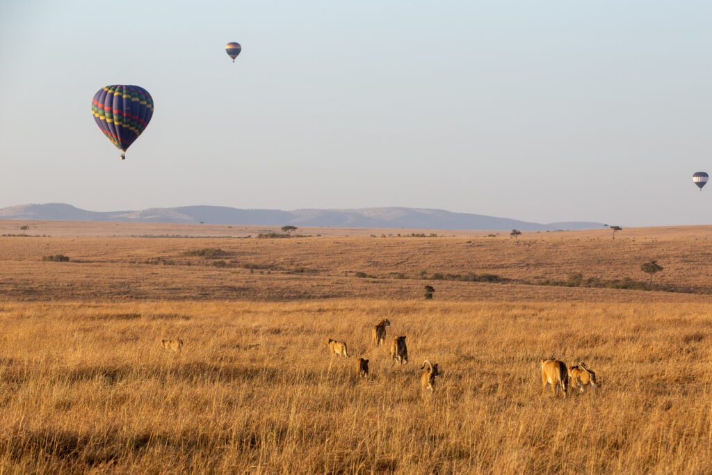 Masai Mara packages