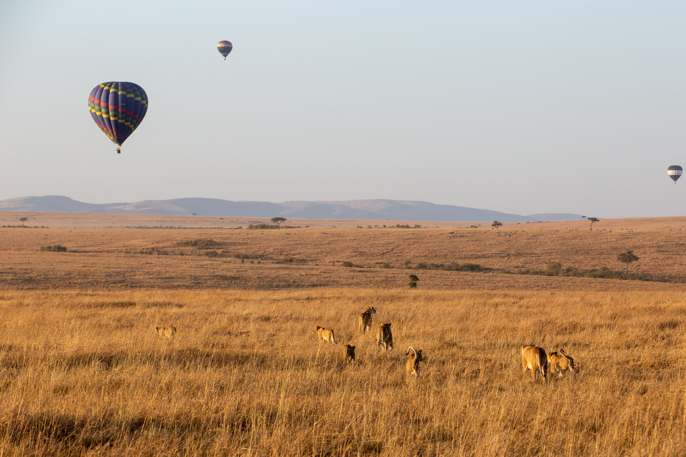 Masai Mara tour packages
