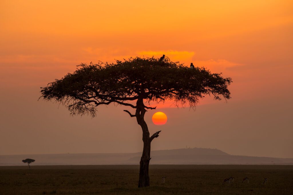 Masai Mara packages