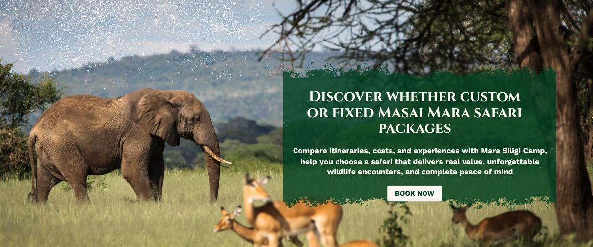 masai mara safari packages