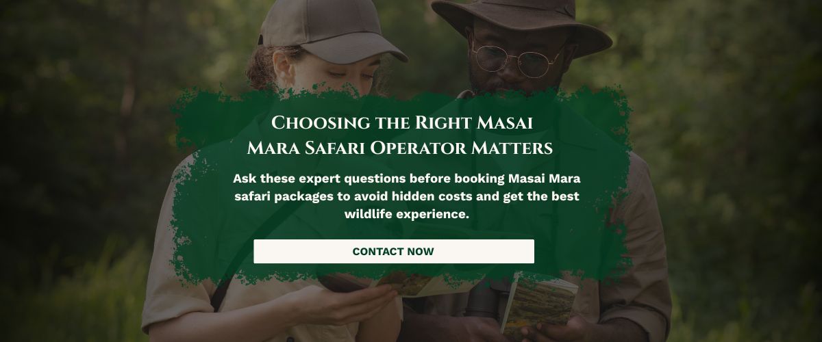 masai mara safari