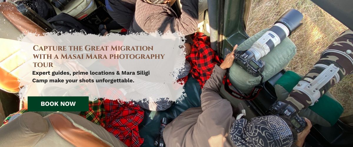 Masai Mara photography tour