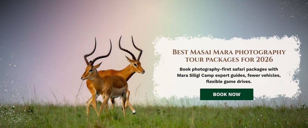 Masai Mara photography tour