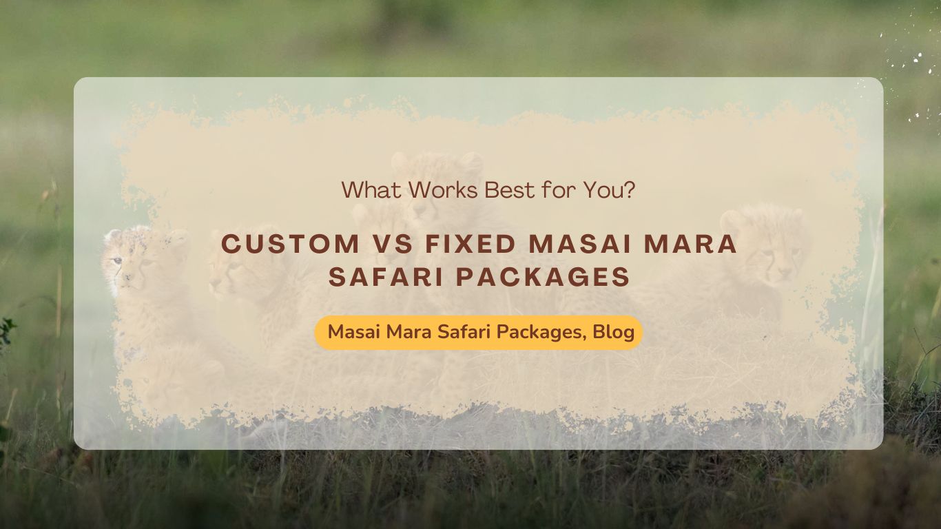 custom-vs-fixed-masai-mara-safari-packages-what-works-best-for-you