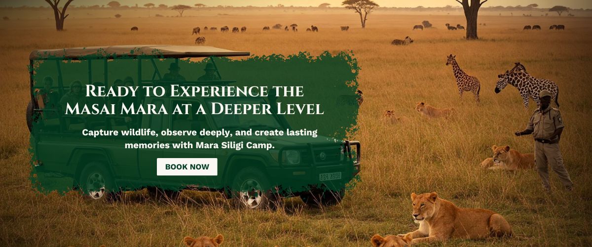 Masai Mara photography tour packages