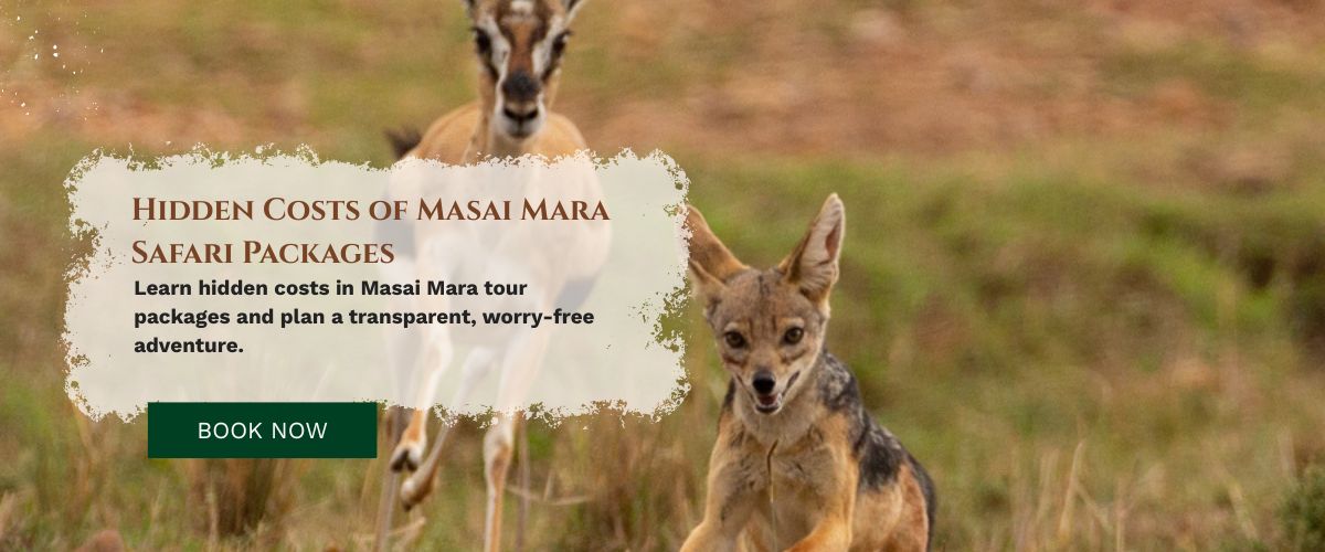 masai mara safari packages