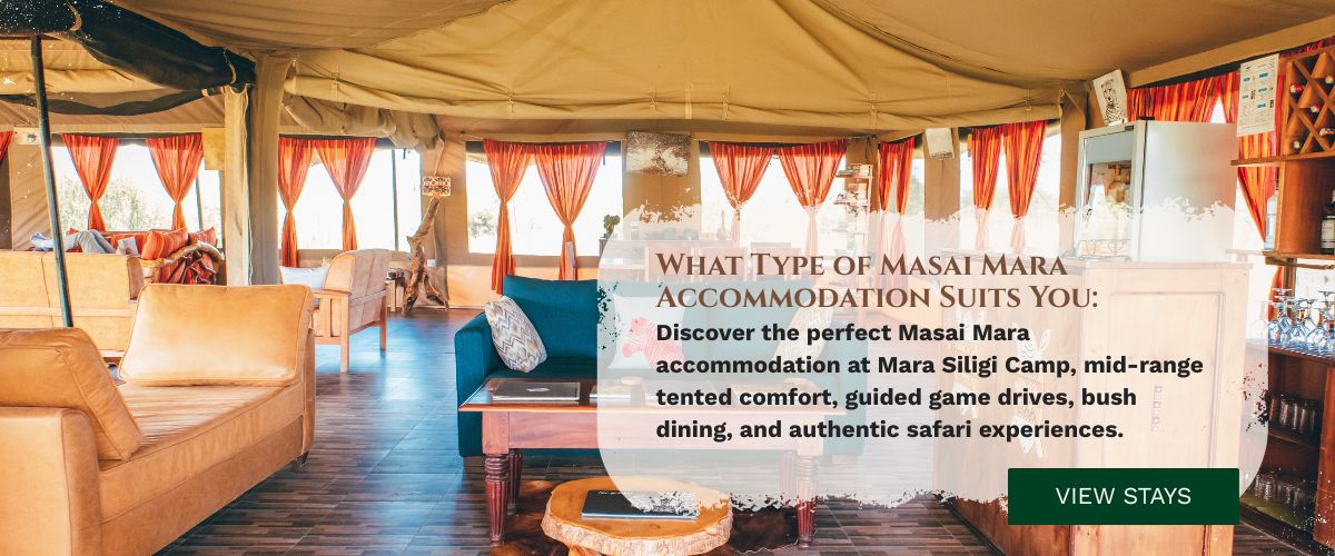 Masai Mara accommodation