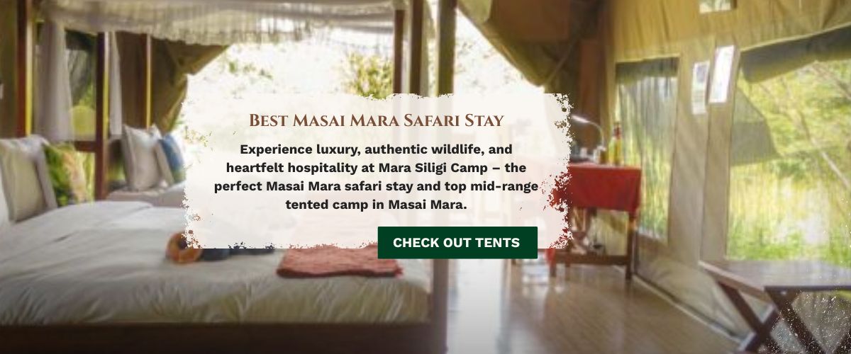 masai mara safari stay