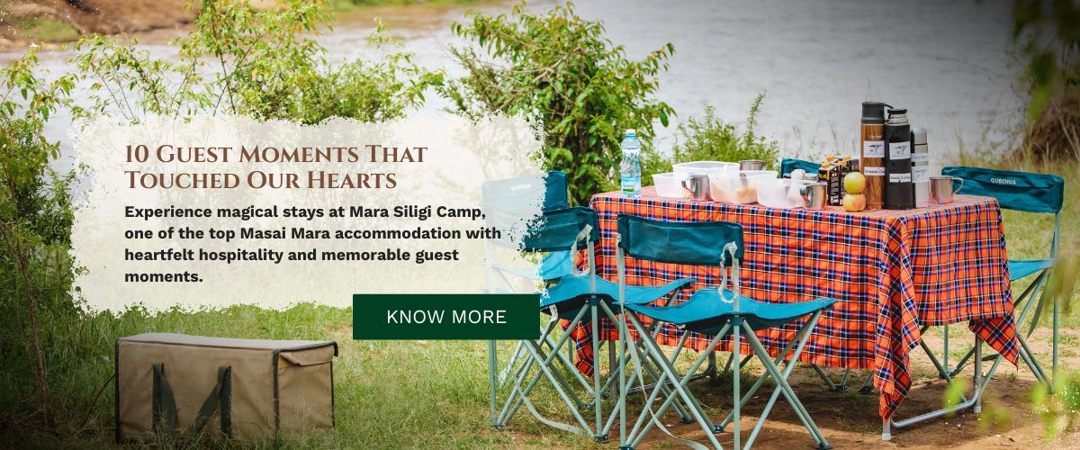 Bush breakfast experience in the Mara wilderness