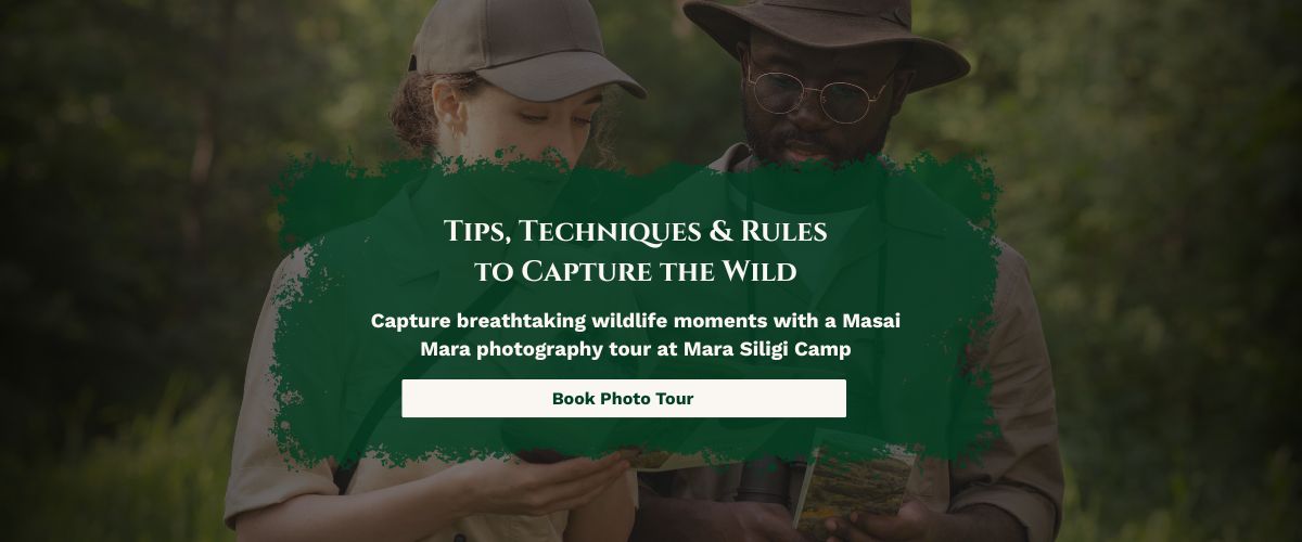 Masai Mara photography tour