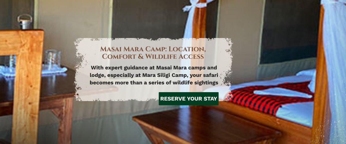masai mara camp