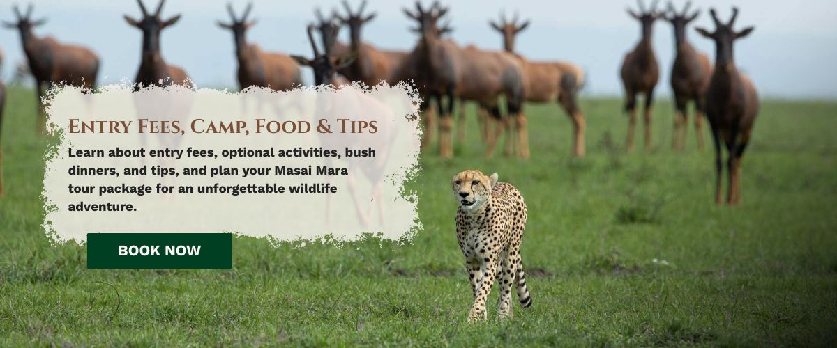 masai mara tour packages