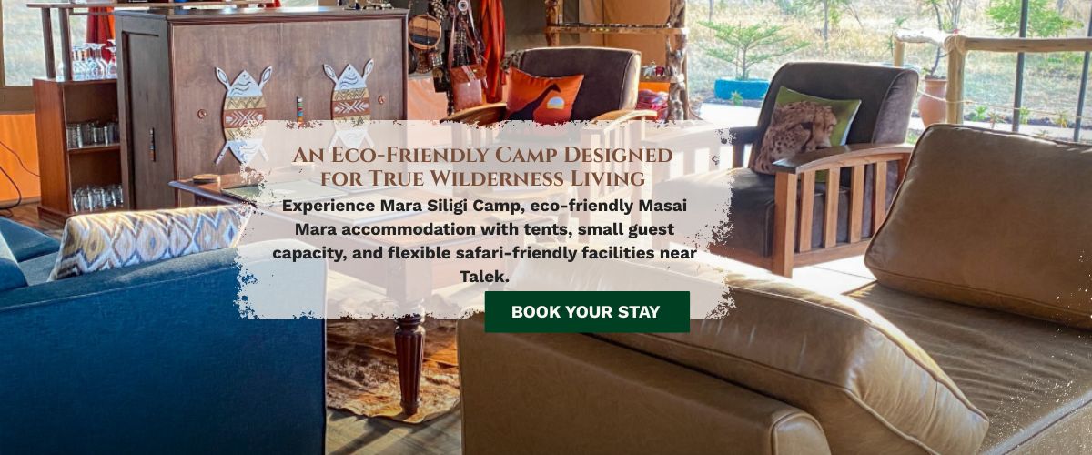 safari camps in masai mara