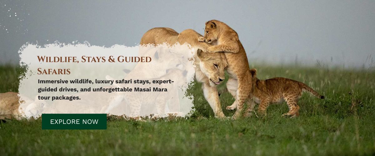 Masai Mara tours packages