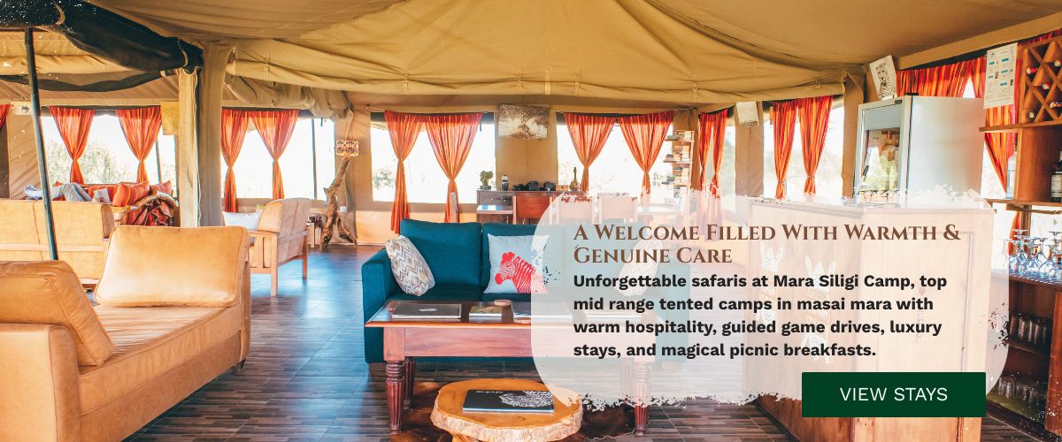 Eco-friendly tented camp in Masai Mara