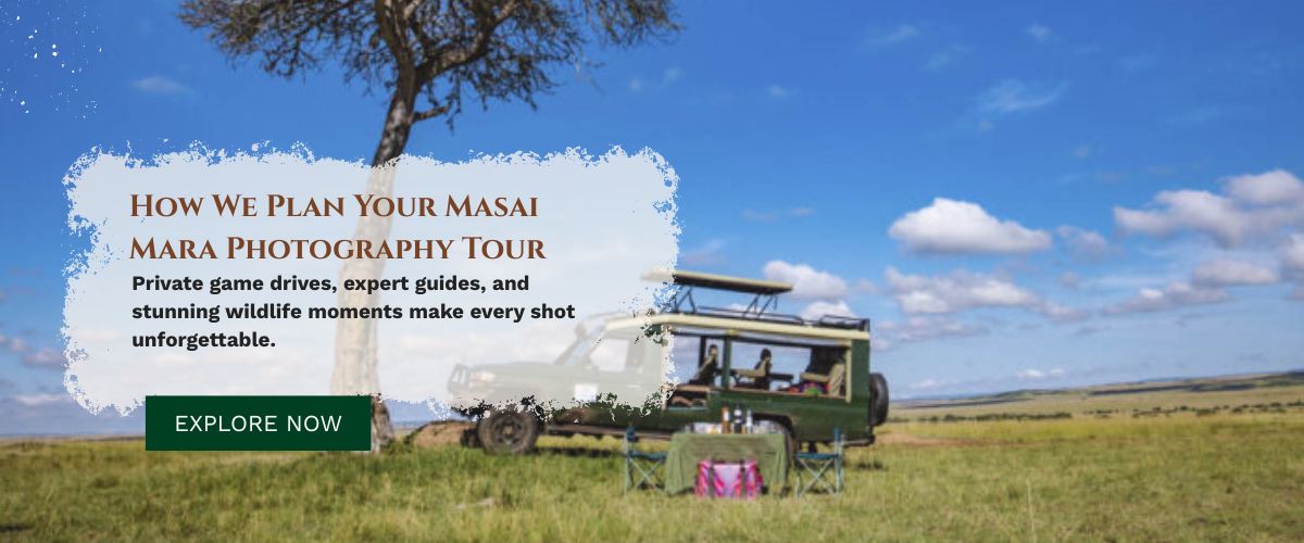 photography tours packages for masai mara
