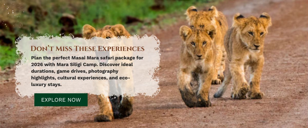 masai mara safari packages