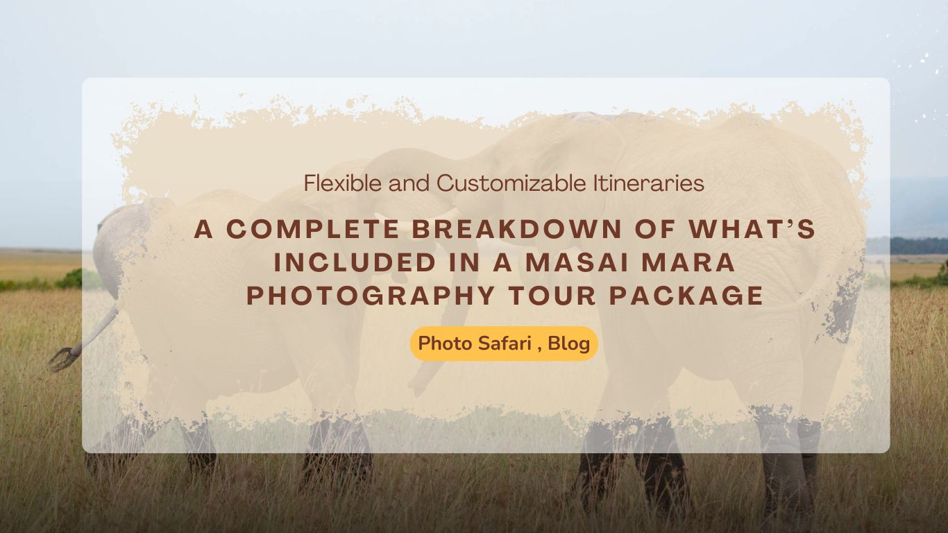 a-complete-breakdown-of-what’s-included-in-a-masai-mara-photography-tour-package