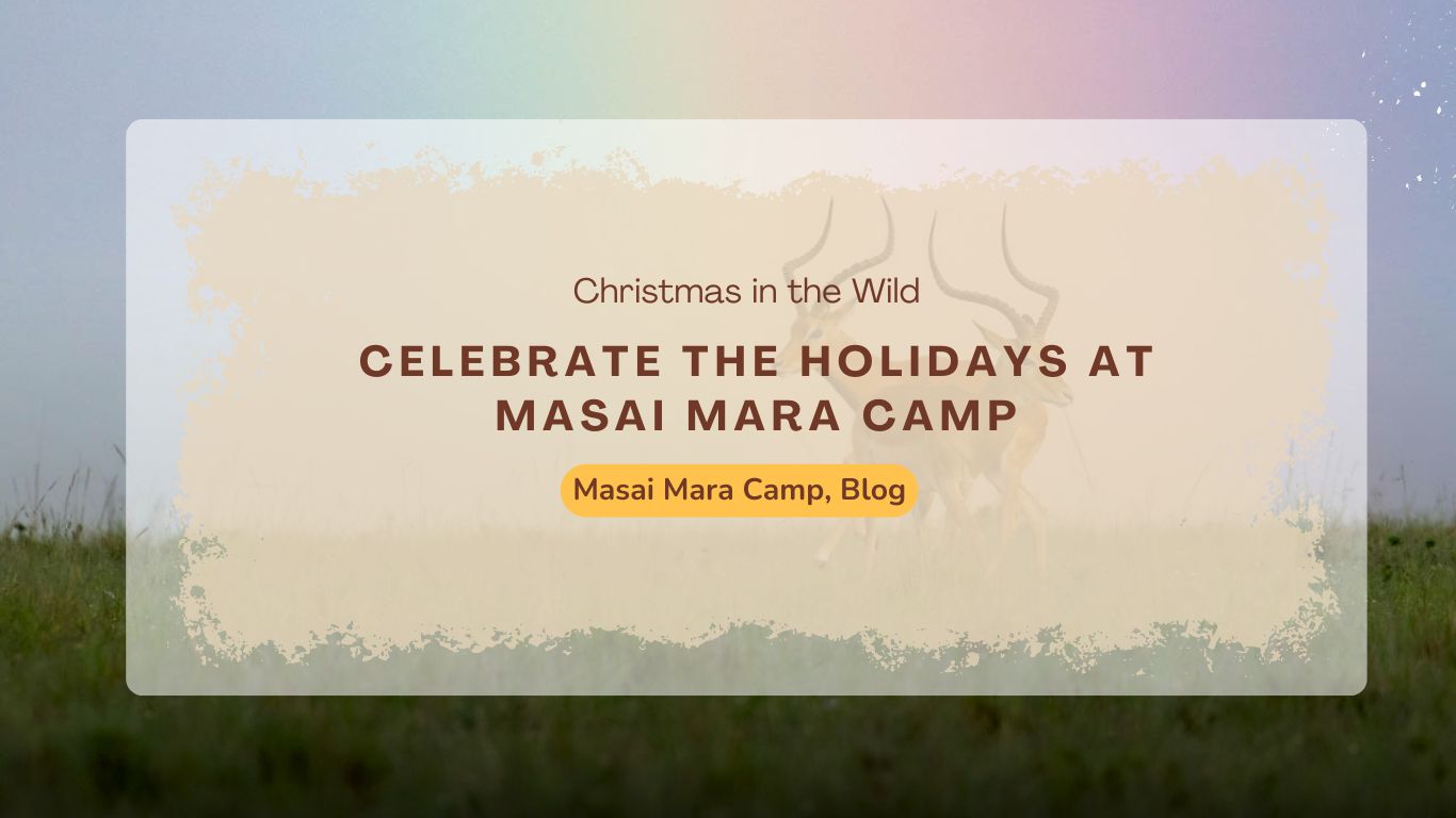 christmas-in-the-wild-celebrate-the-holidays-at-masai-mara-camp