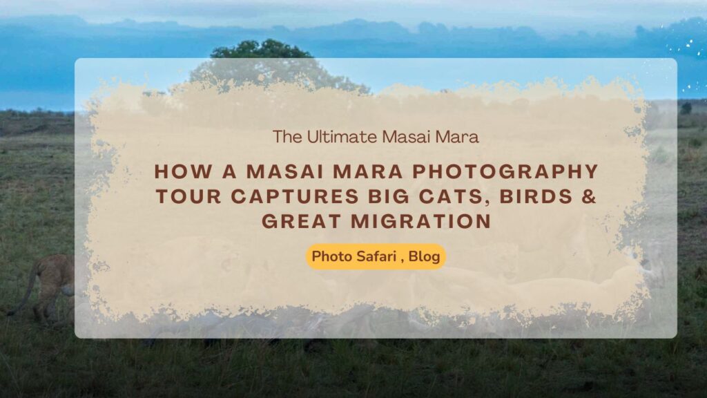 how-a-masai-mara-photography-tour-captures-big-cats-birds-great-migration