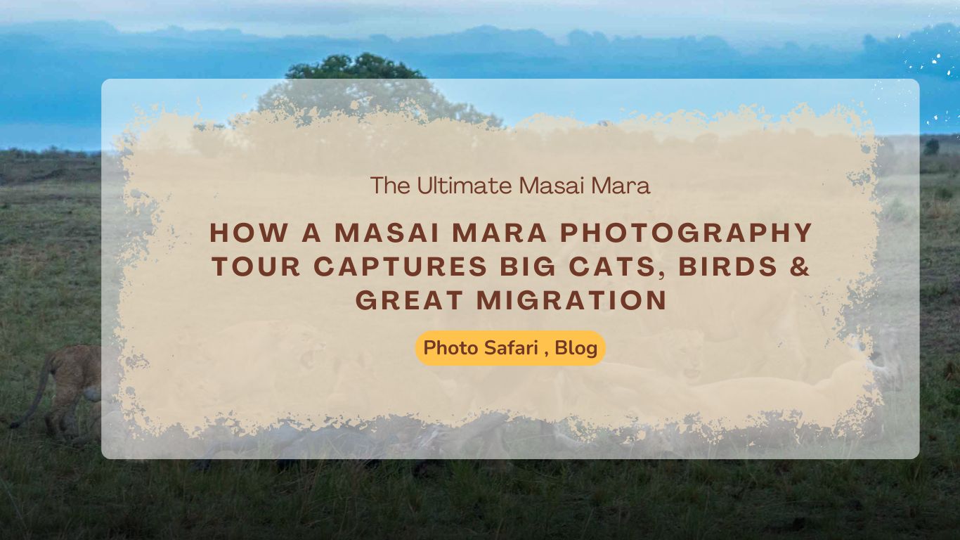 how-a-masai-mara-photography-tour-captures-big-cats-birds-great-migration