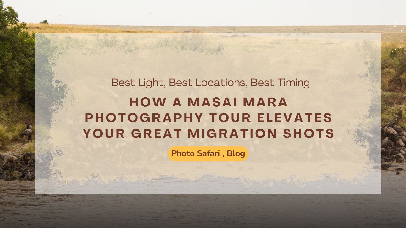 how-a-masai-mara-photography-tour-elevates-your-great-migration-shots