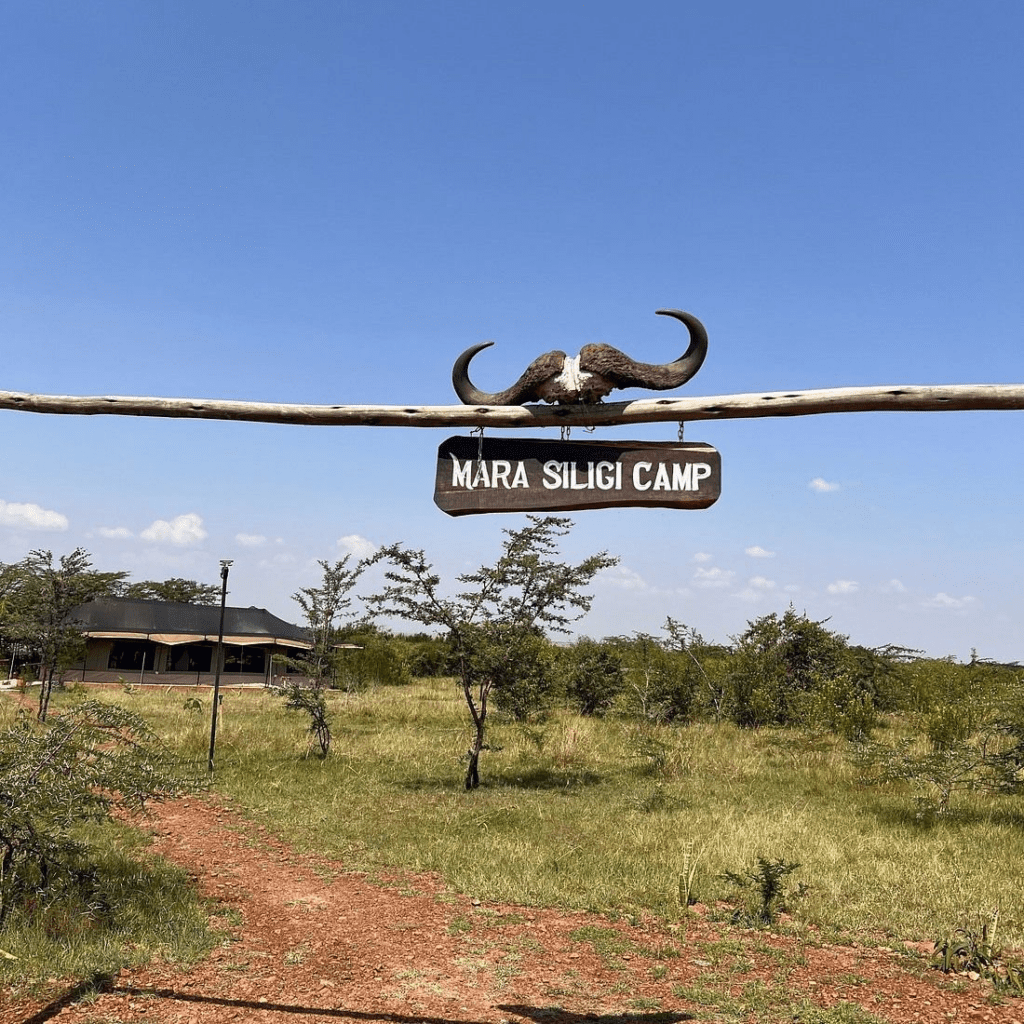 Masai Mara accommodation